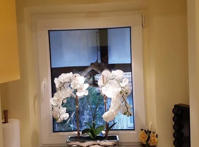 Kapitanski Apartman *